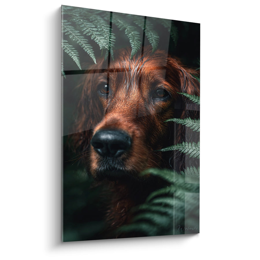 Tableau Chien Roux dans les Fougères - Portrait Intimiste - Edition Setter Irlandais
