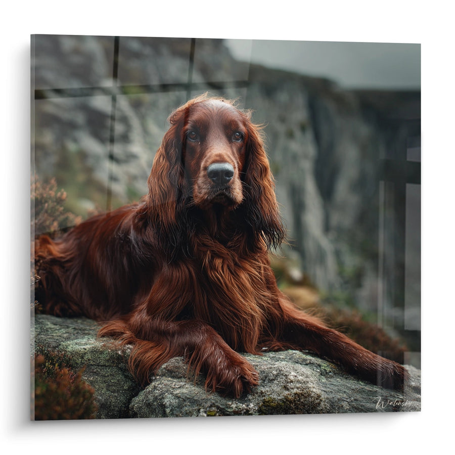 Tableau Setter Irlandais Roux sur Pierre Moussue - Regard Noble - Edition Setter Irlandais
