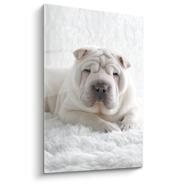 Obraz Shar Pei Białego ze Zamkniętymi Oczami na Futrze - Spokój Pieska - Edycja Shar Pei