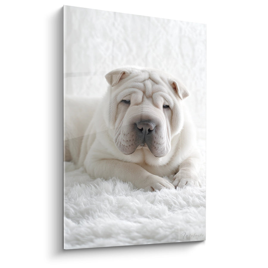 Tableau Shar Pei Blanc aux Yeux Fermés sur Fourrure - Sérénité Canine - Edition Shar Pei