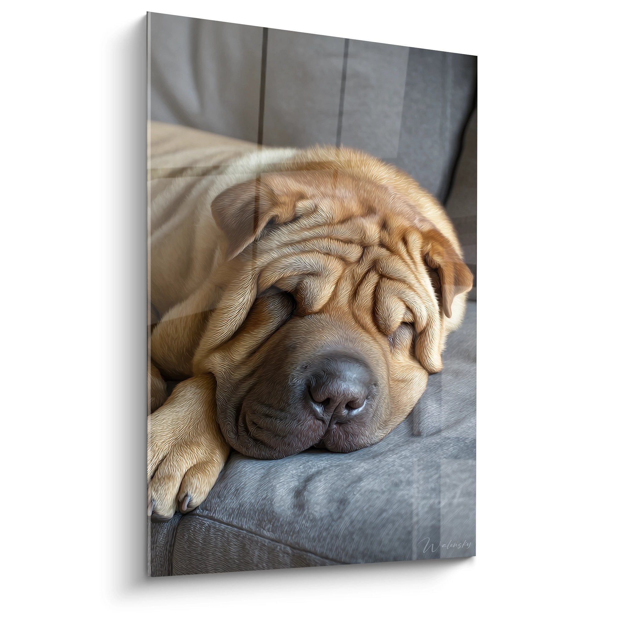 Tableau Shar Pei endormi aux teintes dorées, chien aux rides plissées paisiblement assoupi sur fond gris neutre