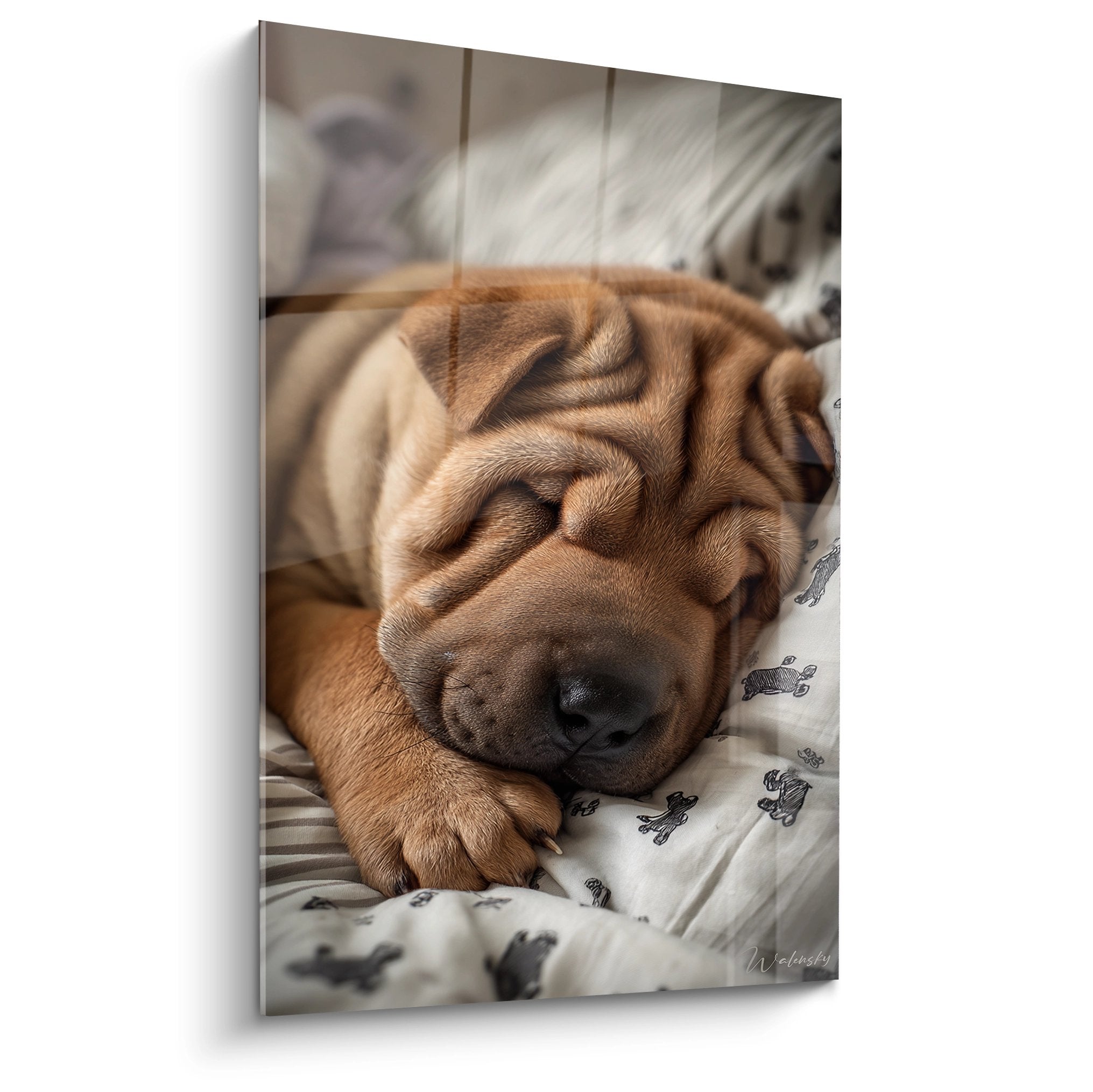 Shar Pei endormi sur linge blanc, pelage fauve doré, expression paisible, décoration murale tendresse canine