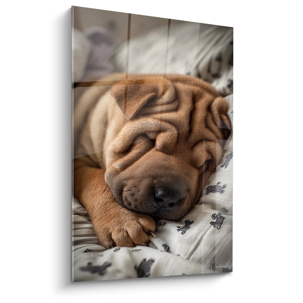Cuadro Shar Pei Dormido sobre Ropa de Cama - Ternura Canina - Edición Shar Pei