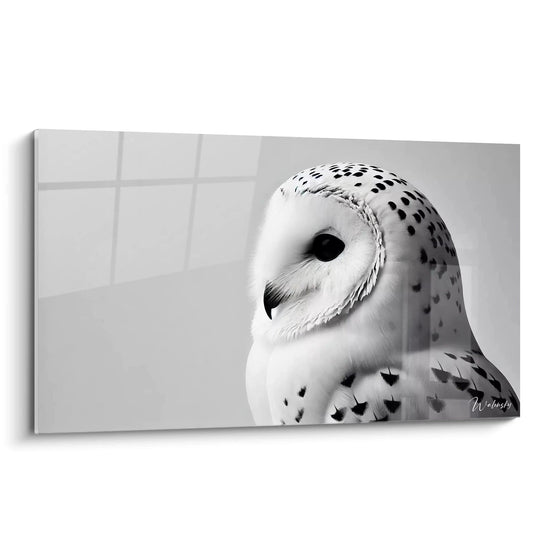 Cuadro Silencio Ártico - Edición Búho Animales