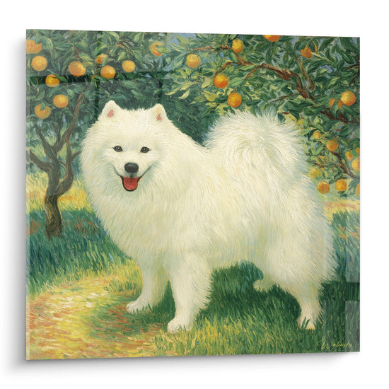 Quadro spitz giapponese pelo bianco setoso sotto arancio con frutti arancioni stile impressionista natura