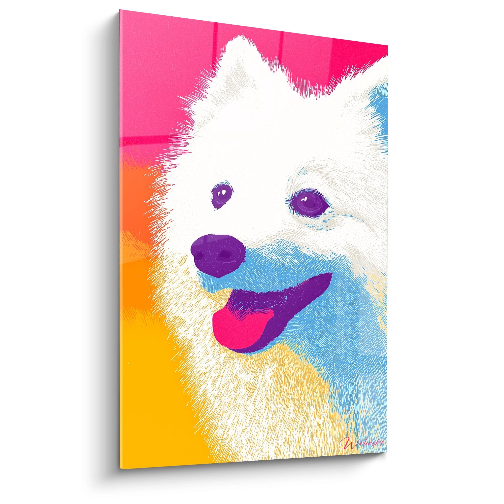 Tableau pop art Spitz Japonais blanc aux yeux violets sur fond coloré rose bleu jaune