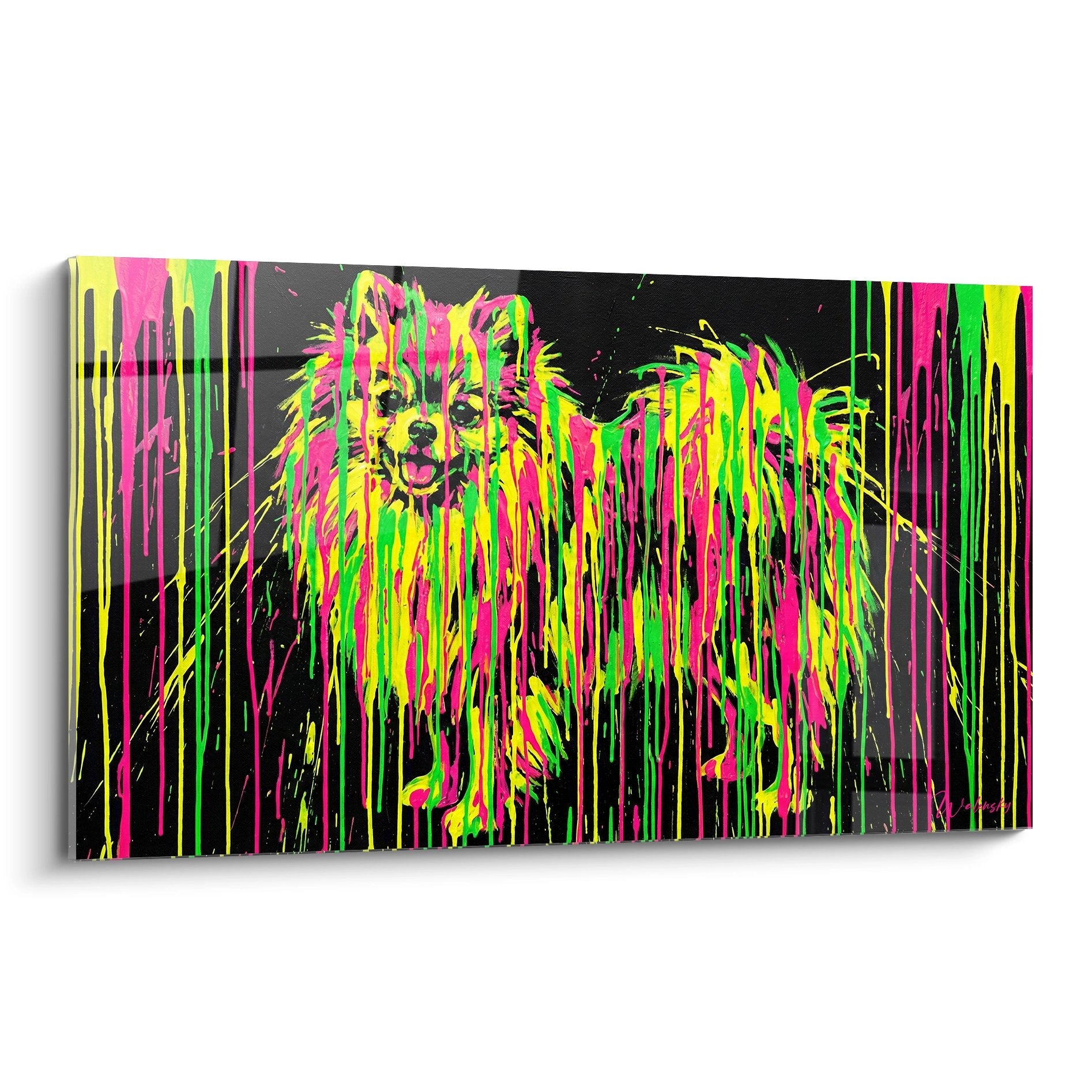 Tableau moderne Spitz Pomeranien coulures fluorescentes rose vert jaune sur fond noir art contemporain