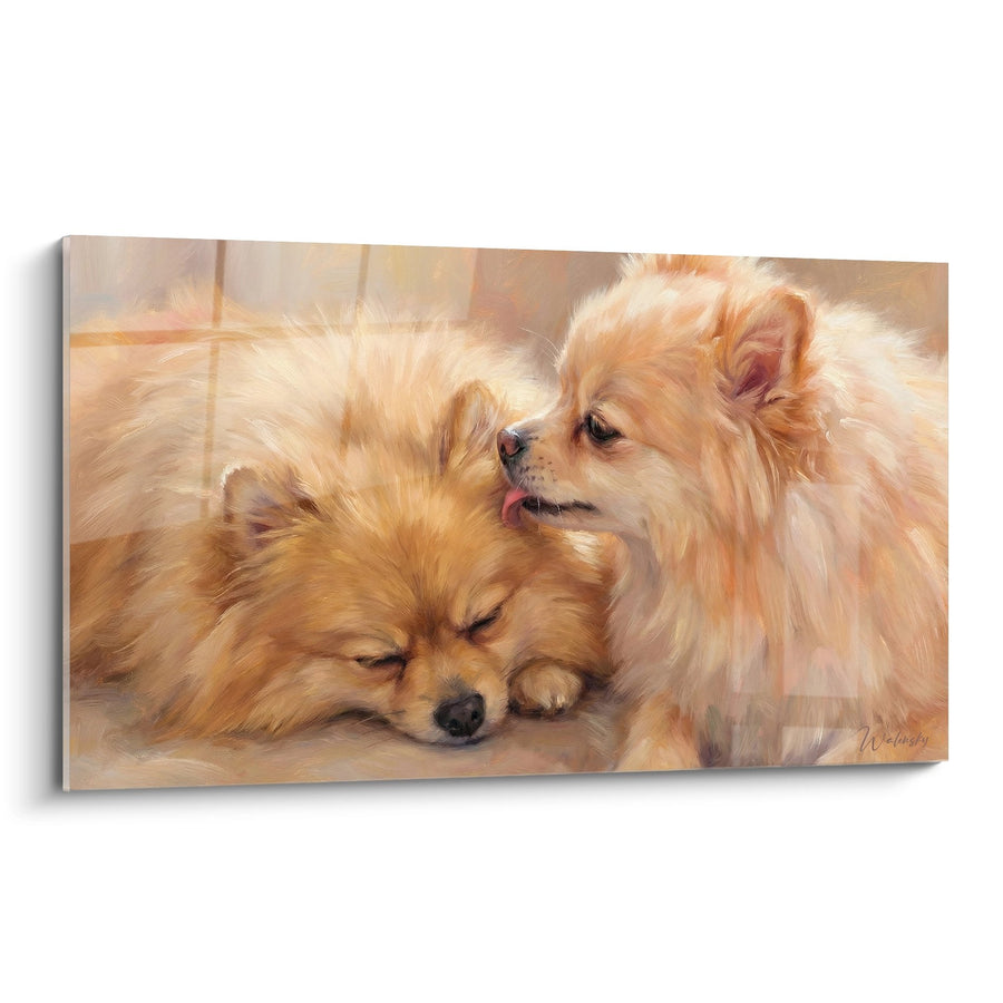 Tableau Duo de Spitz Poméraniens Oranges et Crème - Tendresse Canine - Edition Spitz Poméranien