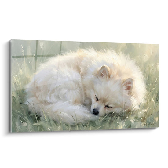 Tableau peinture Spitz Poméranien blanc endormi dans herbe verte tons pastel lumière dorée