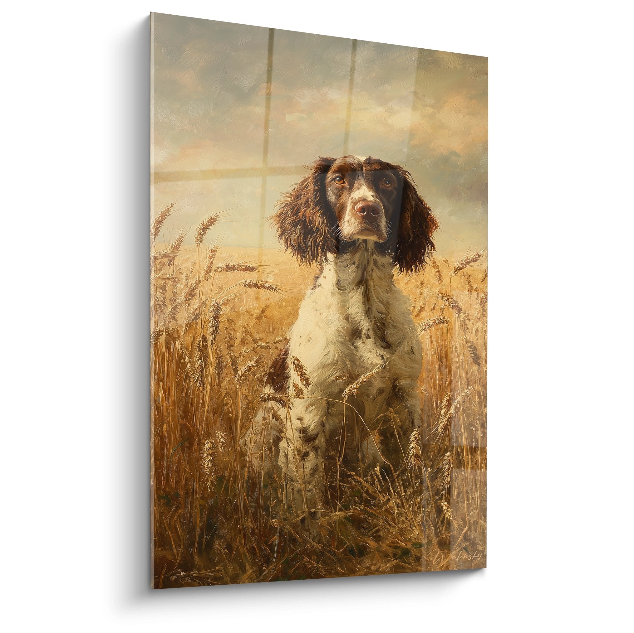 Tableau portrait Springer Anglais dans champ de blé doré au coucher soleil, regard expressif, tons ocre et ambre