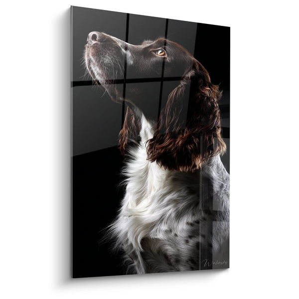 Cuadro Perro Cocker Spaniel Inglés Blanco y Negro Retrato Artístico - Mirada Noble - Edición Cocker Inglés