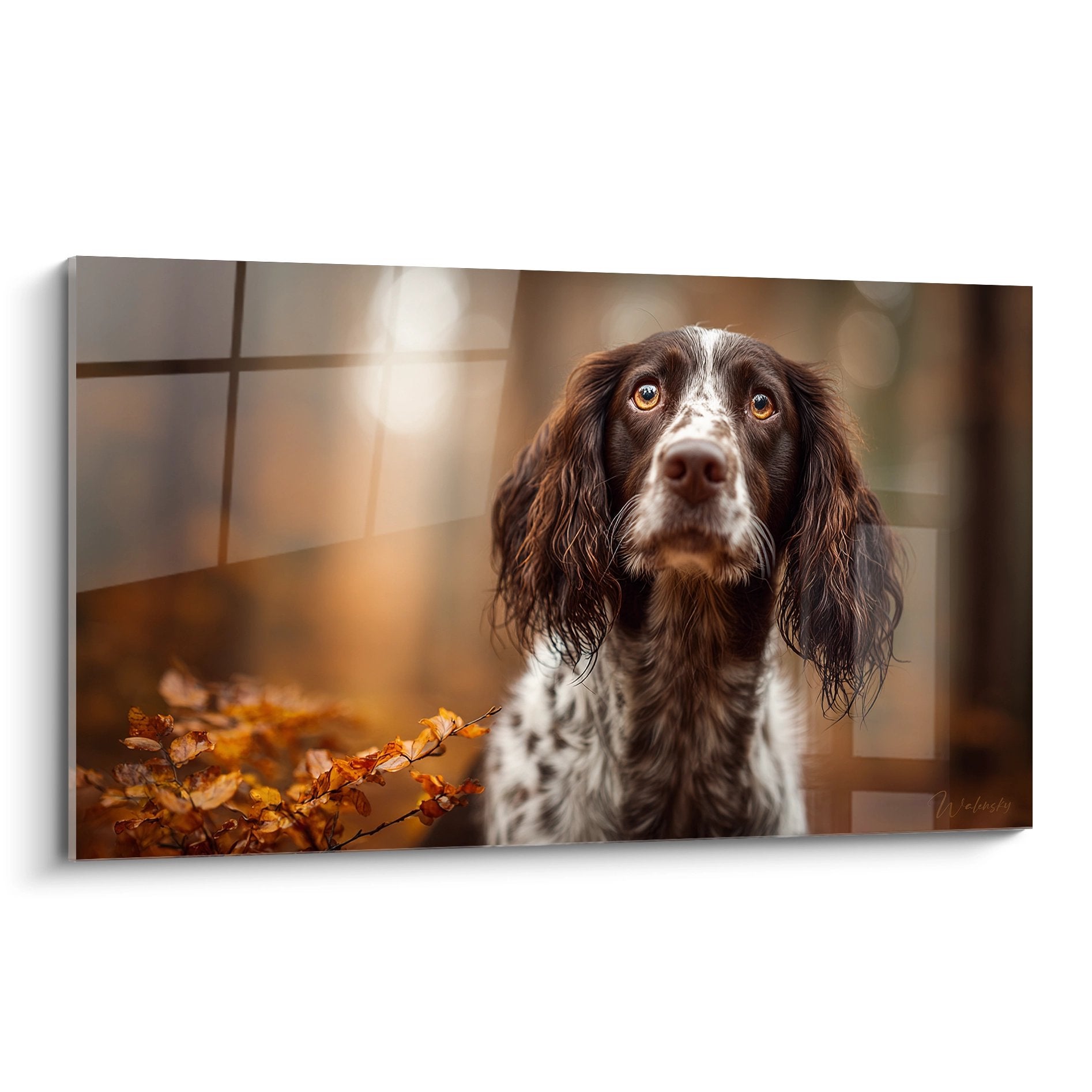 Portrait Springer Anglais yeux ambrés près fenêtre lumière dorée automnale feuillage roux tableau canin