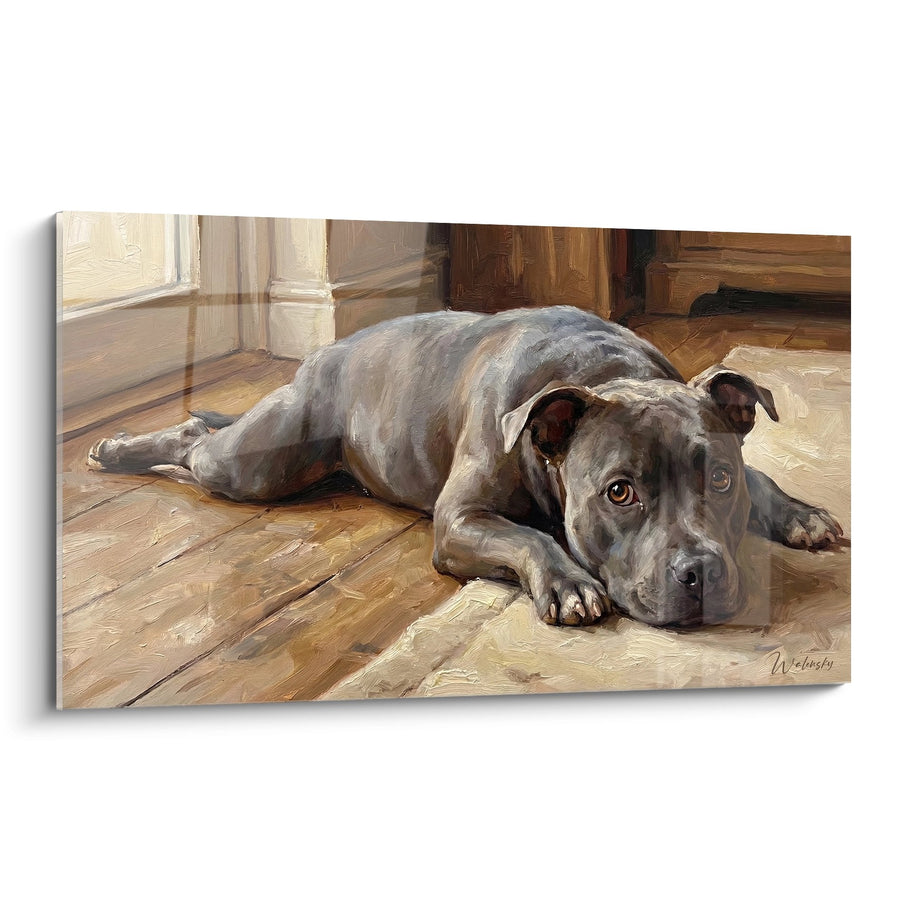Tableau Chien Gris Allongé sur Parquet - Repos Mélancolique - Edition Staffordshire Bulle Terrier