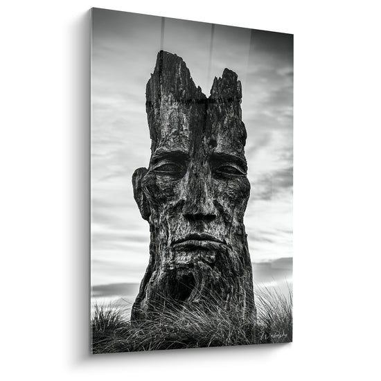 Tableau Visage sculpté brun et gris dans souche - Ciel nuageux et herbes hautes - Edition Statue