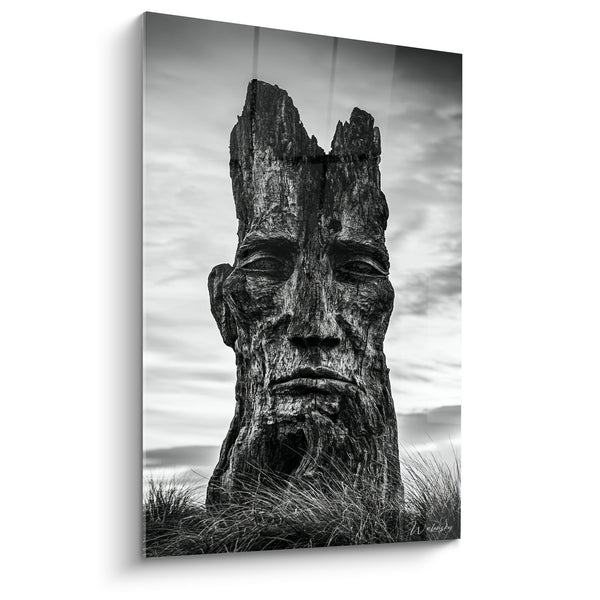 Tableau Visage sculpté brun et gris dans souche - Ciel nuageux et herbes hautes - Edition Statue
