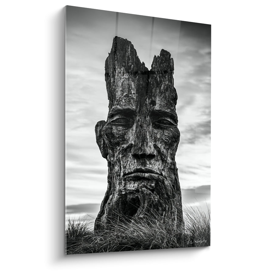 Tableau Visage sculpté brun et gris dans souche - Ciel nuageux et herbes hautes - Edition Statue