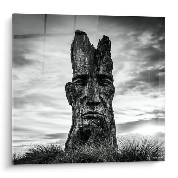 Tableau Visage sculpté noir et gris dans tronc - Gardien ancestral - Edition Statue