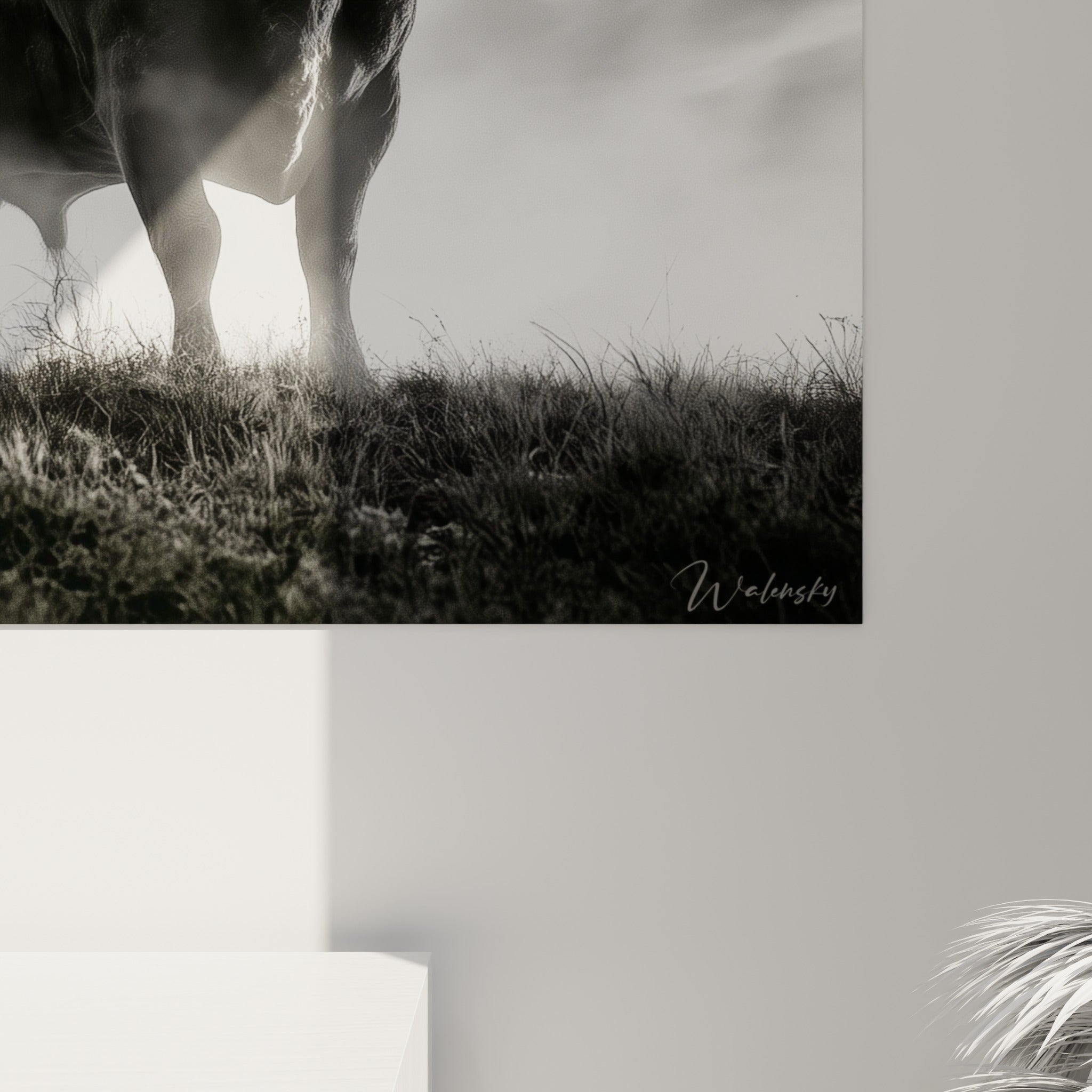Grain photographique visible sur le pelage noir et les nuages gris de cette toile encadrée