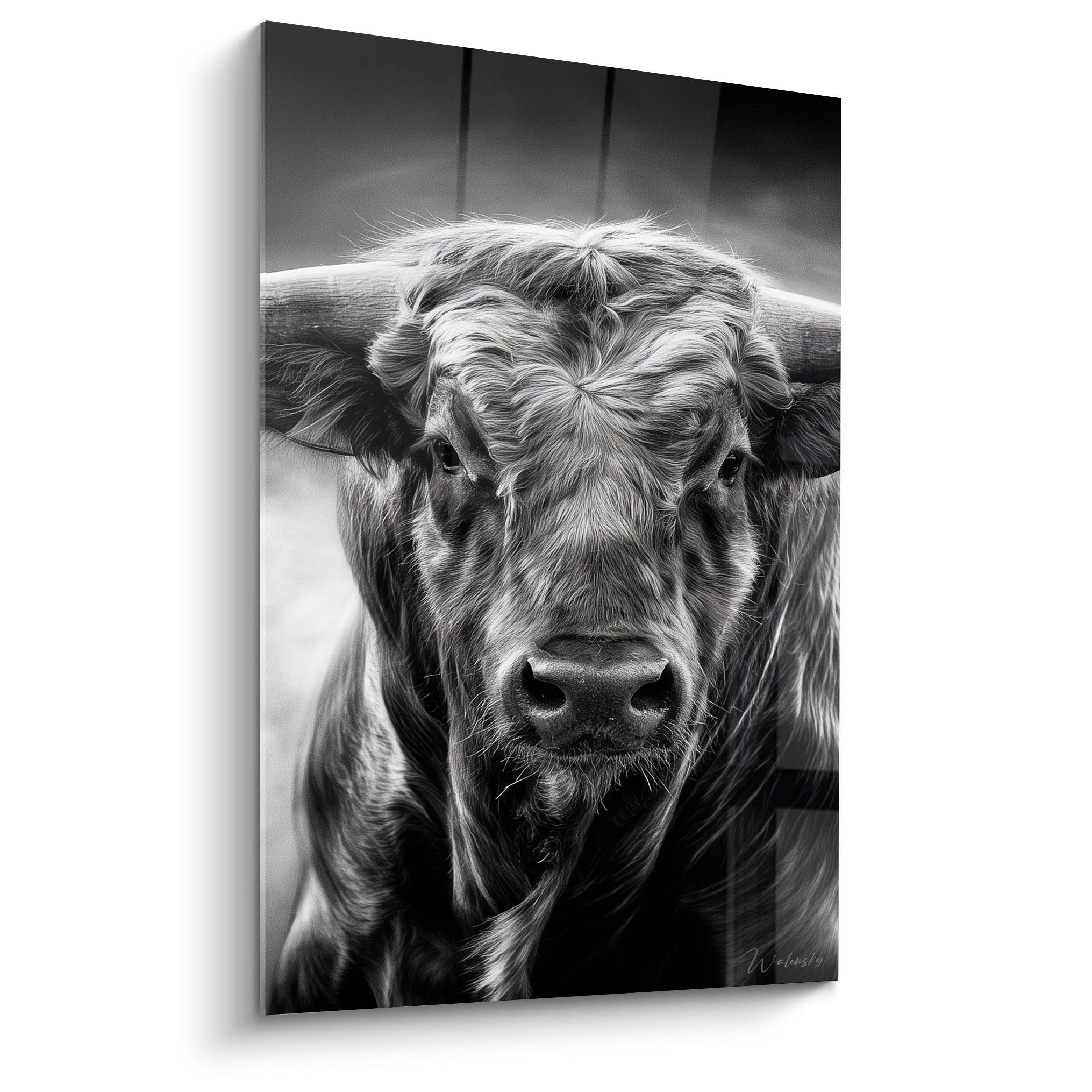 Taureau aux cornes massives, portrait noir et blanc au regard perçant et fourrure texturée