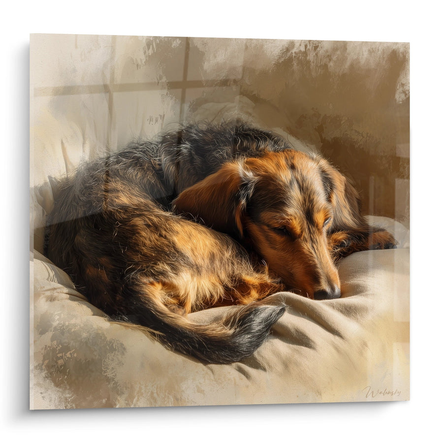Tableau Teckel Endormi aux Tons Chauds - Repos Paisible - Edition Tableau Teckel
