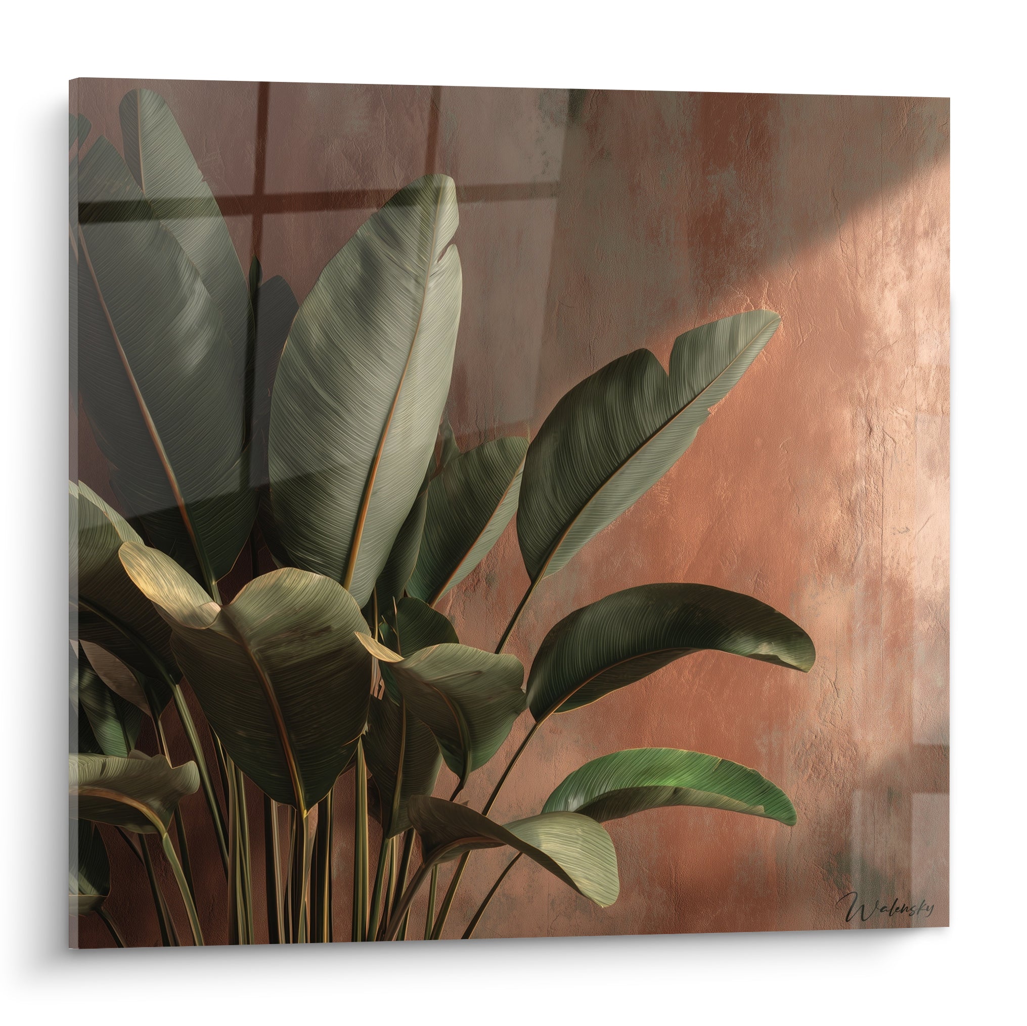 Bananier vert aux larges feuilles devant un mur terracotta et ocre traversé de lumière