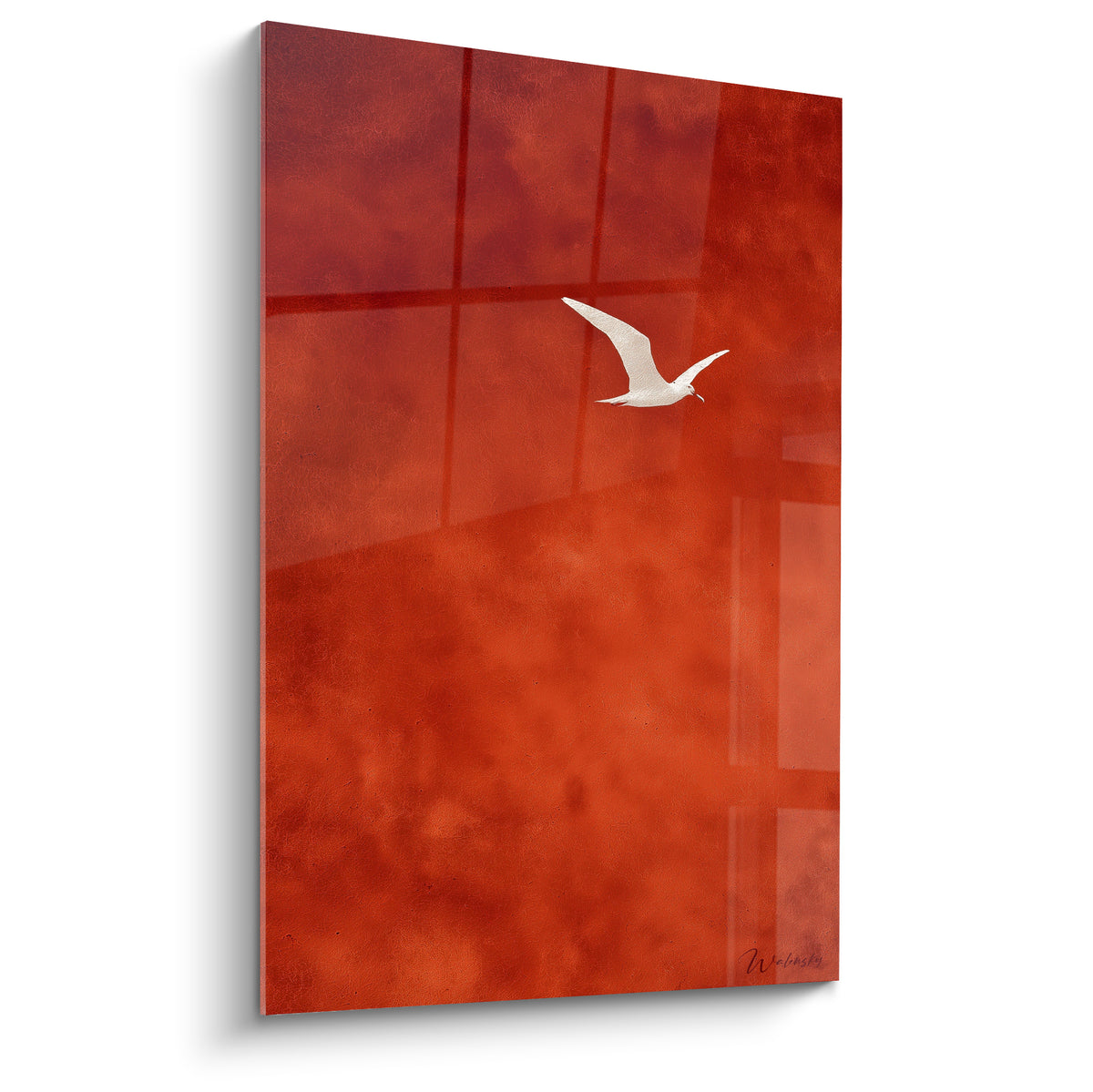 Oiseau blanc en vol sur fond rouge brique et ocre texturé, tableau terracotta au style minimaliste
