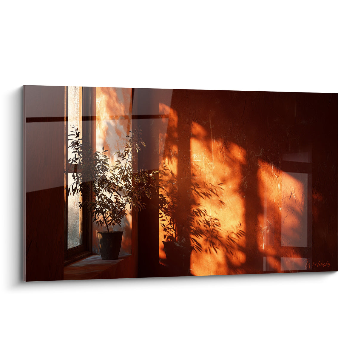 Plante en pot dessinant des ombres noires sur un mur terracotta baigné de lumière orangée