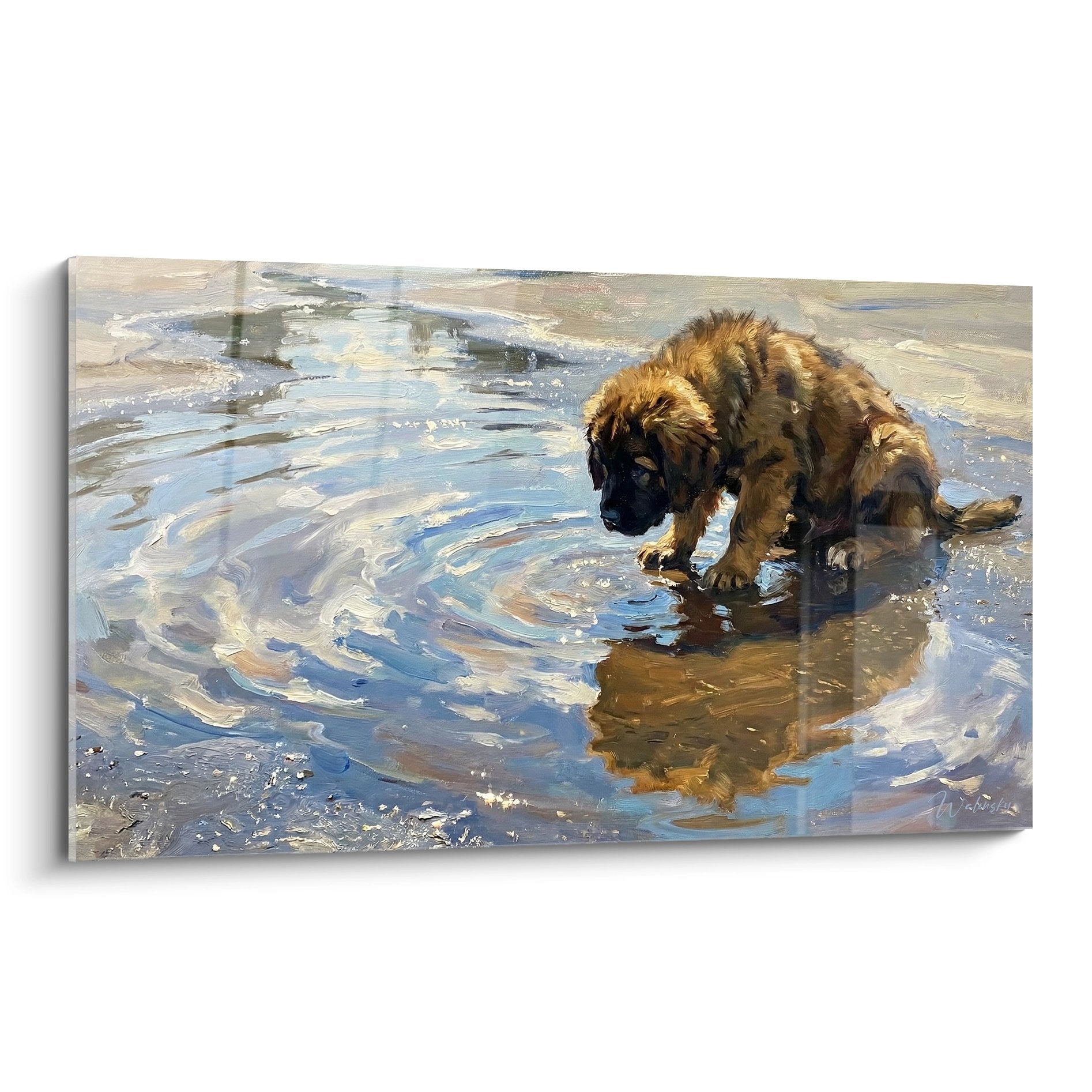 Tableau peinture Terre Neuve fauve dans eau cristalline aux reflets dores, scene aquatique realiste