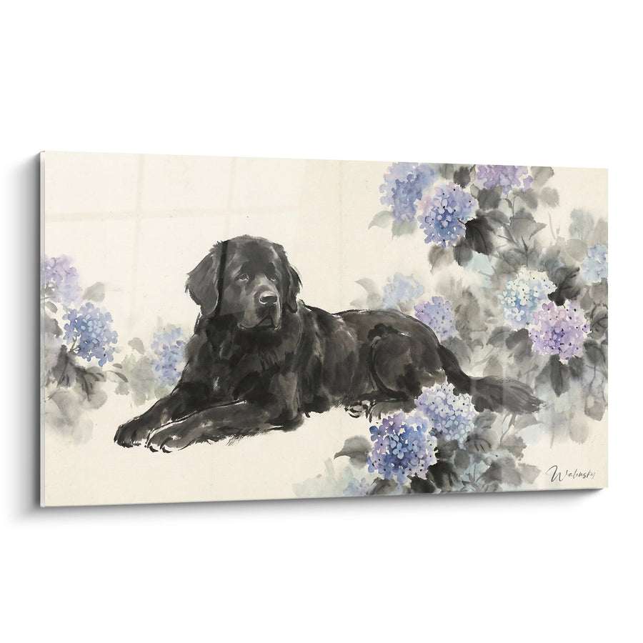 Tableau Chien Noir Couché Parmi les Hortensias Bleus - Sérénité Florale - Edition Terre Neuve