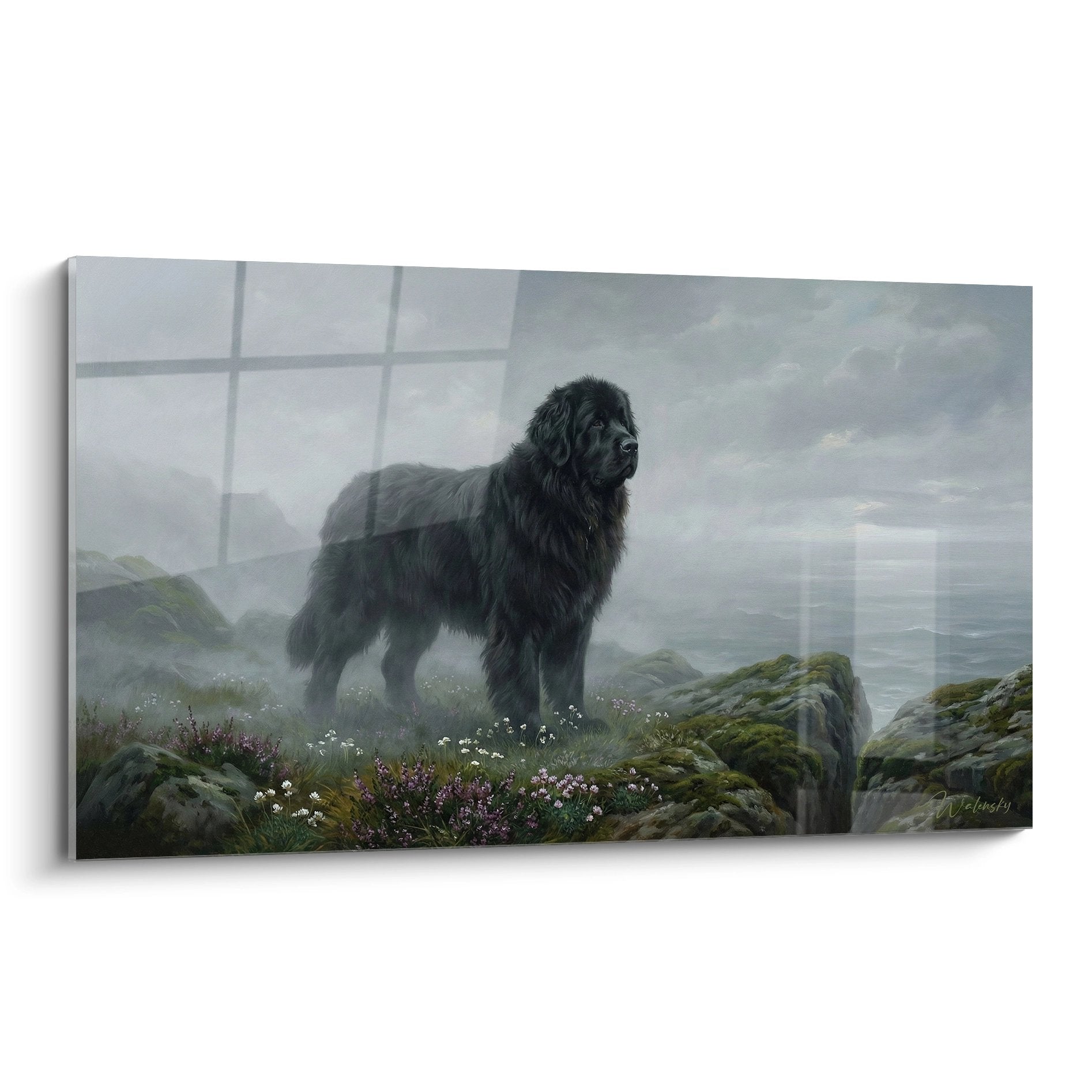 Tableau Terre Neuve noir majestueux sur falaise brumeuse face ocean avec fleurs sauvages rochers verts