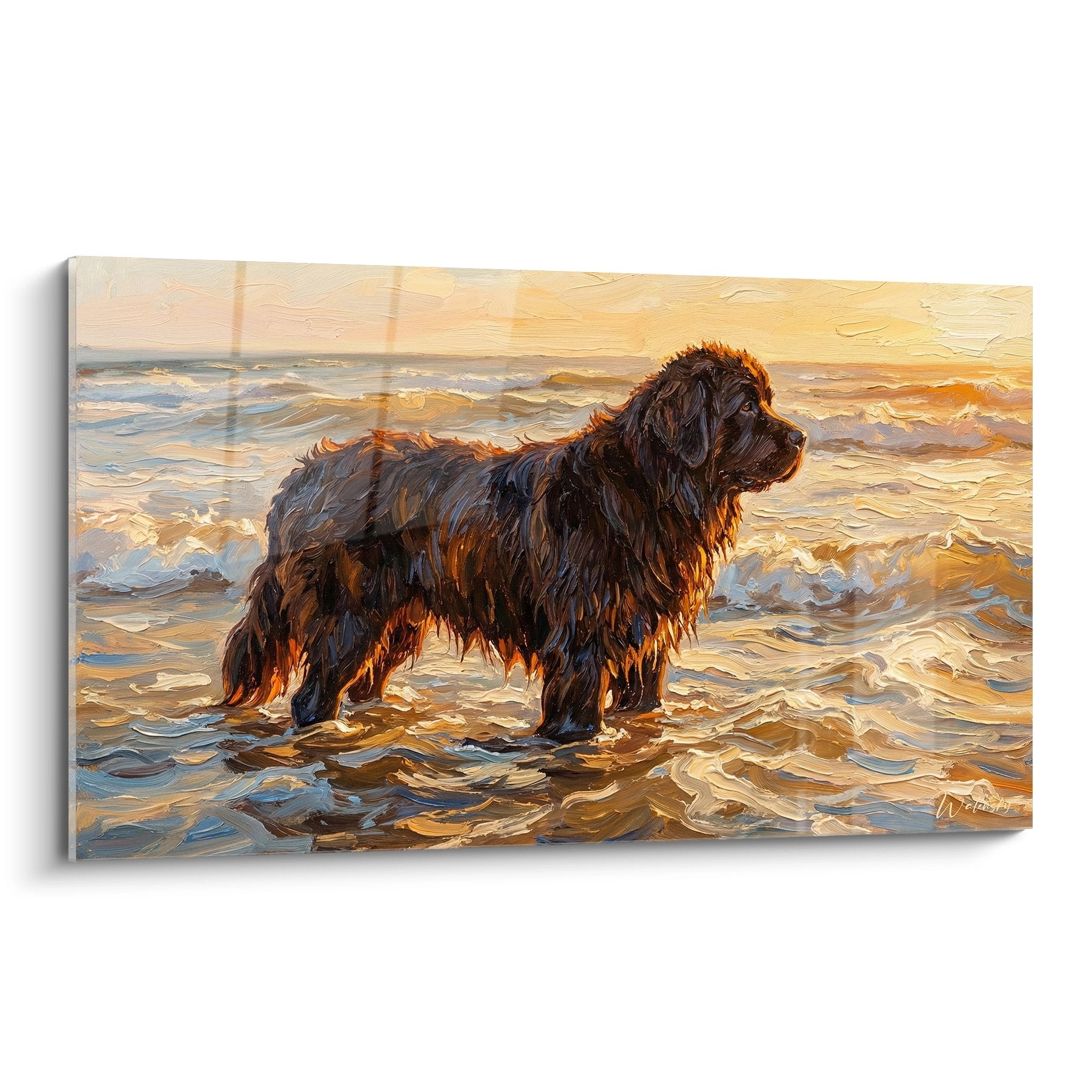 Tableau peinture Terre Neuve noir reflets dorés dans vagues océan coucher soleil art maritime