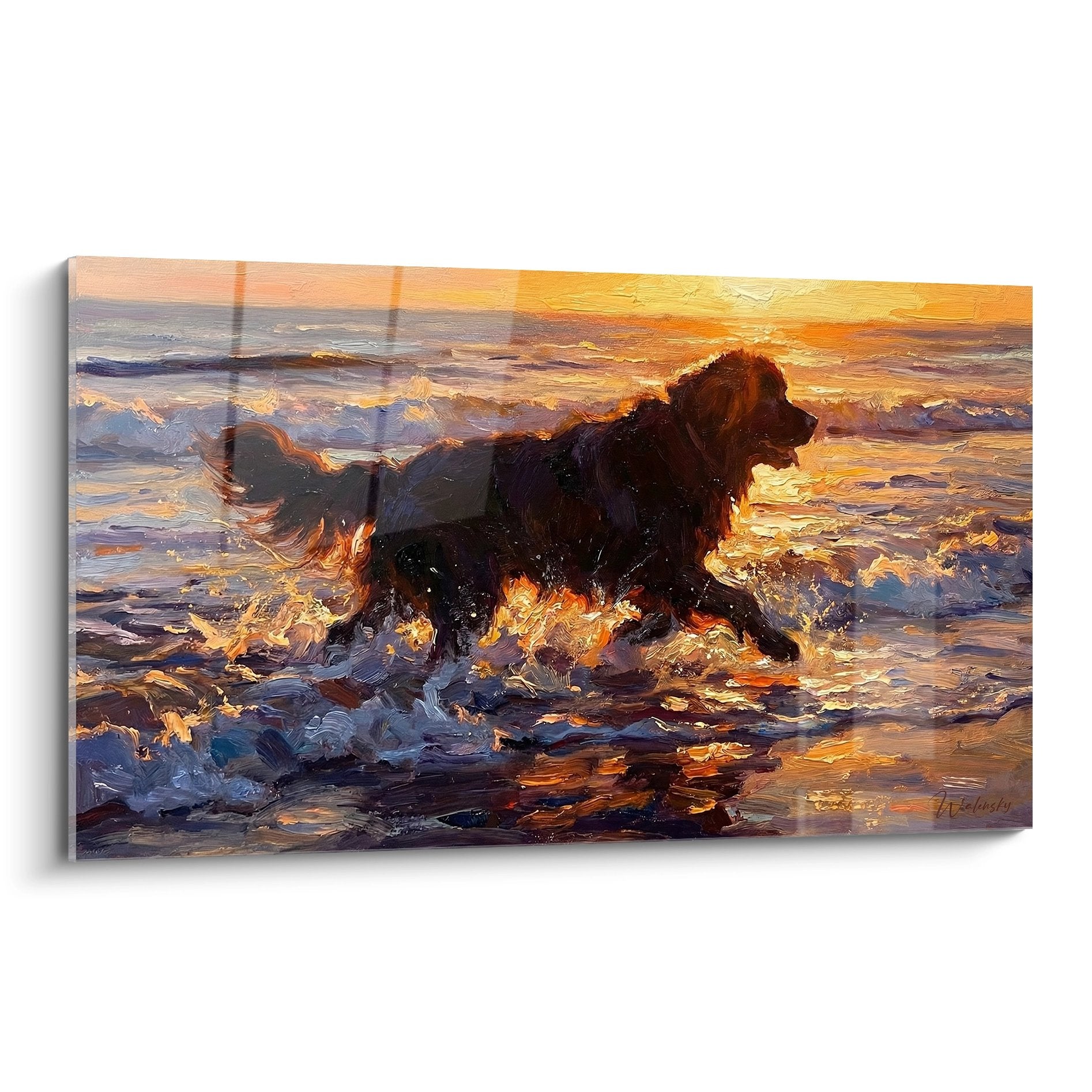 Tableau peinture Terre Neuve noir courant dans vagues dorées au coucher soleil tons orangés