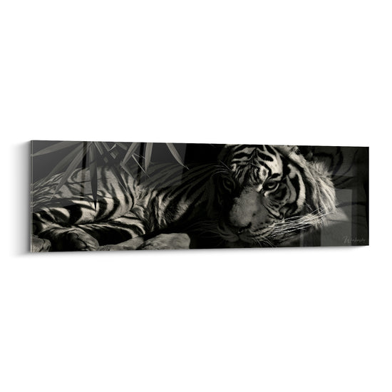 Tigre allongé en noir et blanc, regard fixe, feuillage discret en arrière-plan sombre