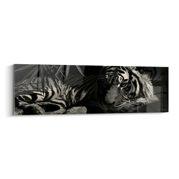 Tableau Tigre allongé noir et blanc feuillage - Vigilance tranquille - Edition Tigre