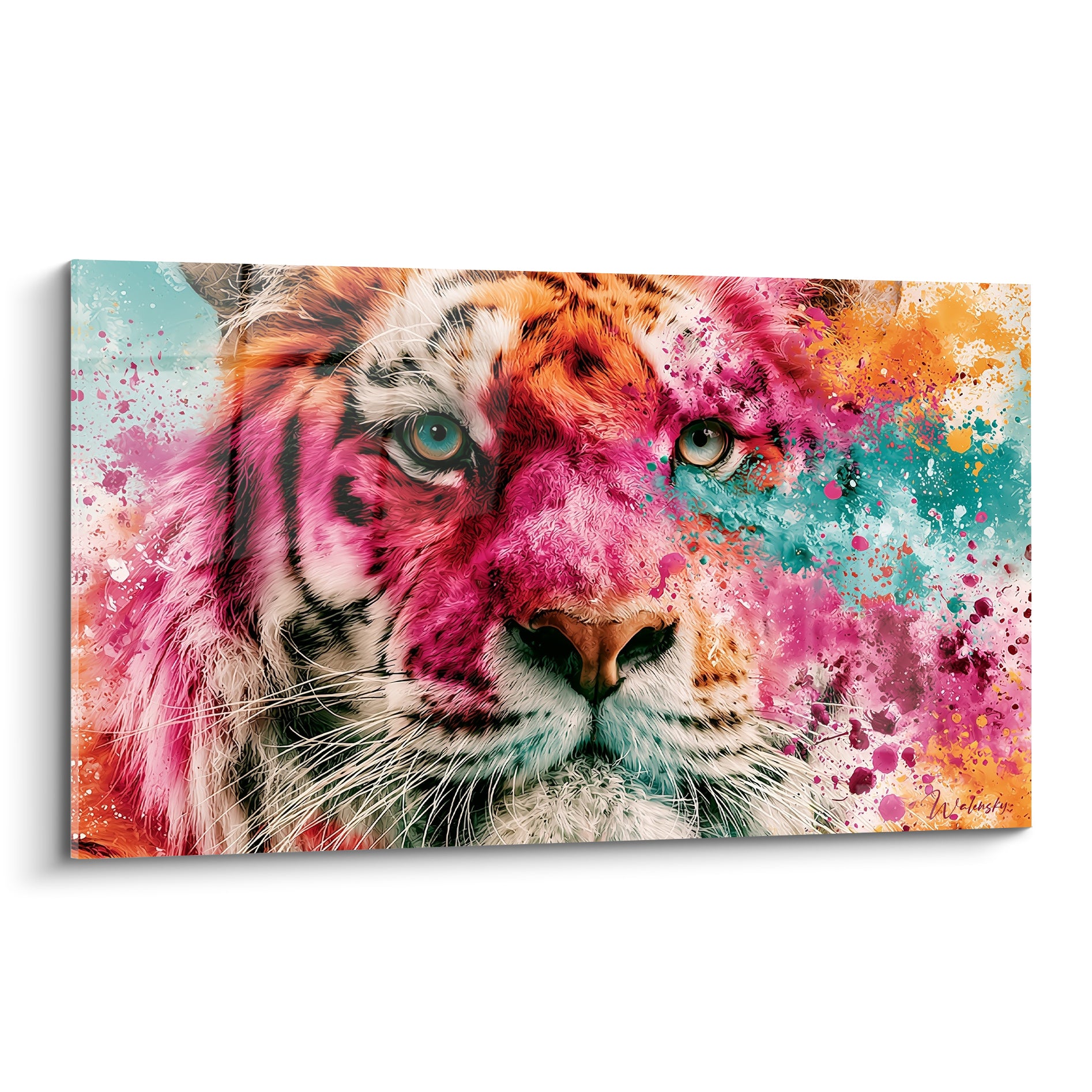 Tigre au regard bleu clair, pelage rose fuchsia et turquoise éclaboussé en gros plan.