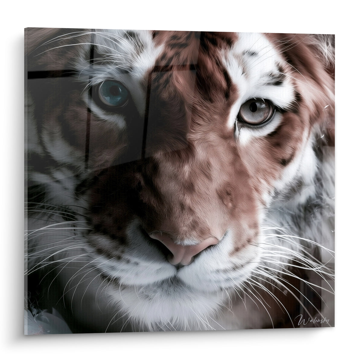 Tigre en gros plan aux tons terracotta et anthracite, regard clair perçant l'objectif