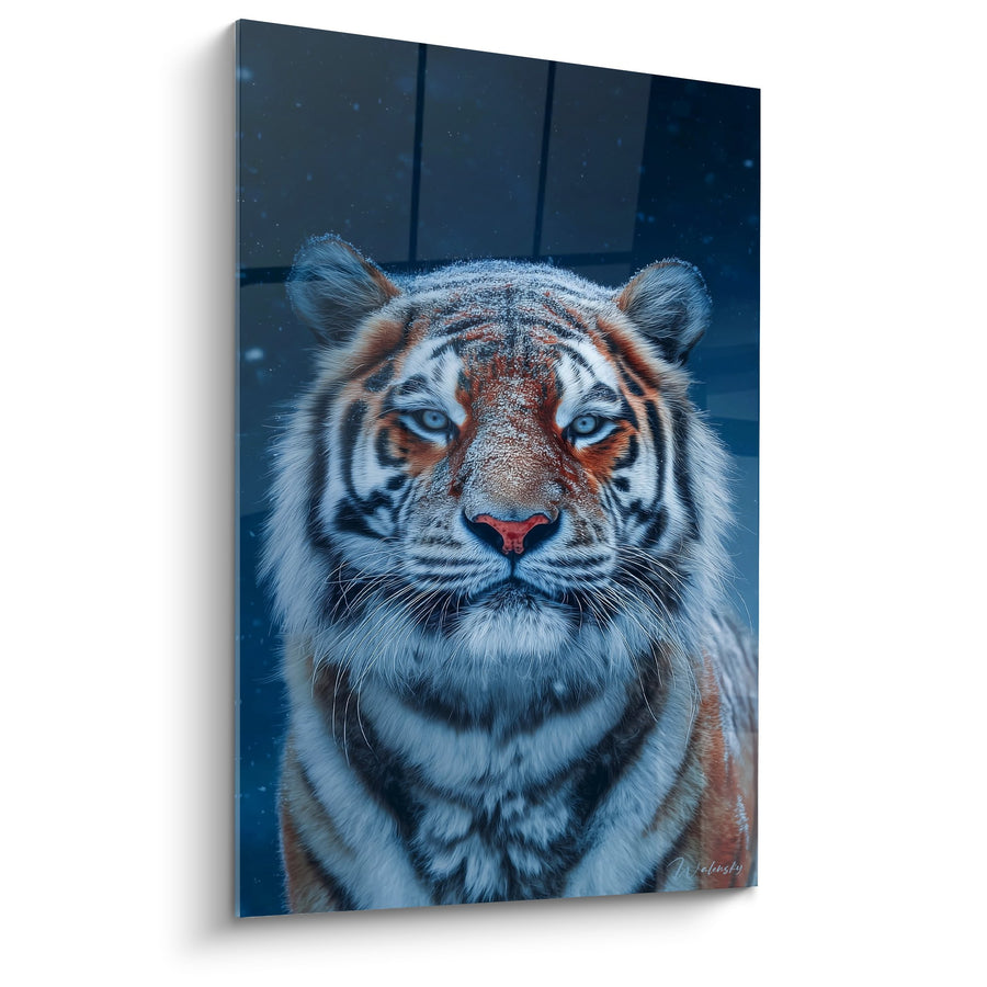 Tableau Portrait Tigre aux Yeux Bleus Perçants sur Fond Hivernal Étoilé - Majesté Glaciale - Edition Tigre