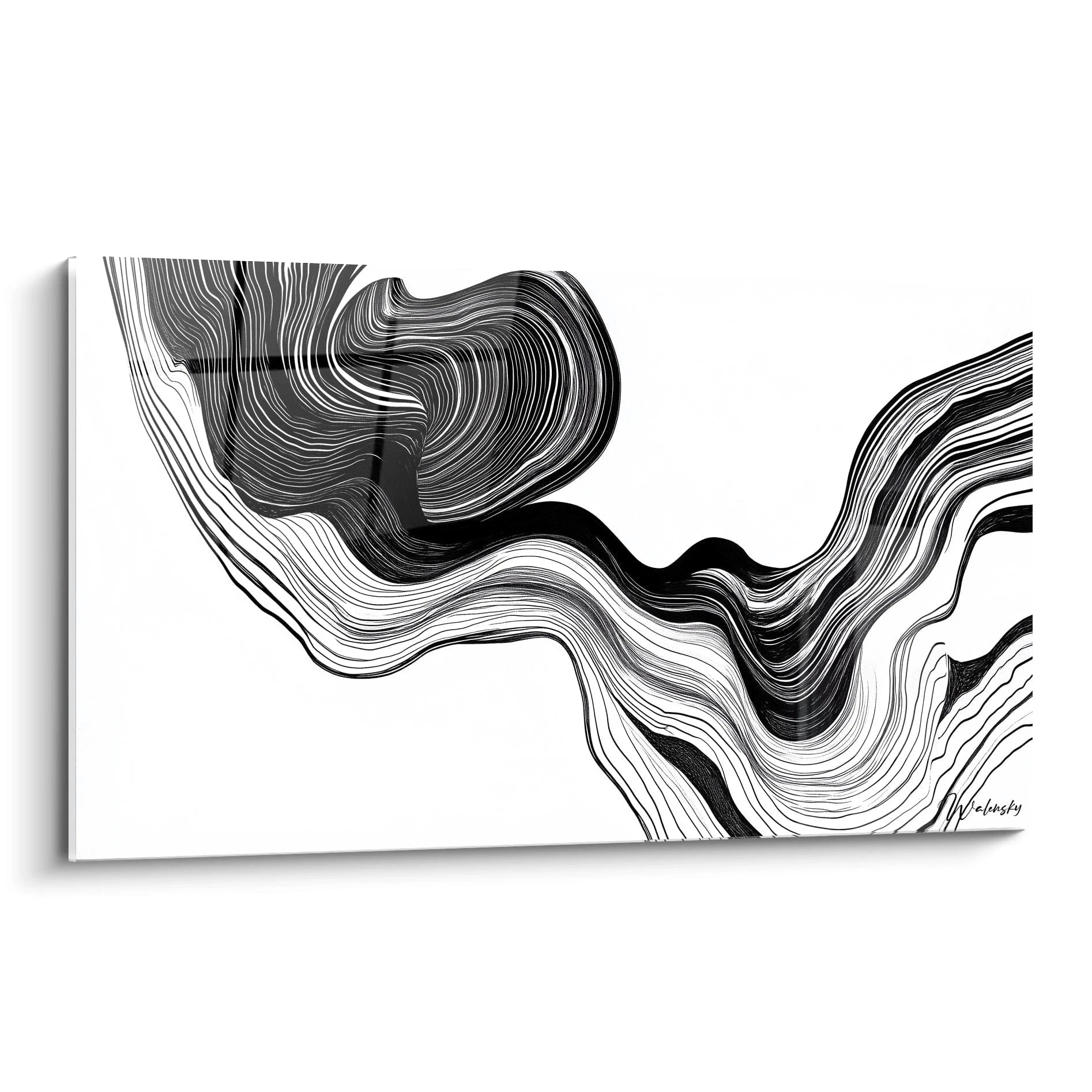 Un tableau rayures noir et blanc composé de lignes fluides et ondulantes qui se déploient en mouvements organiques sur toute la surface. Les courbes créent une sensation de profondeur et de mouvement perpétuel avec un contraste saisissant entre zones d'ombre intenses et espaces lumineux.
