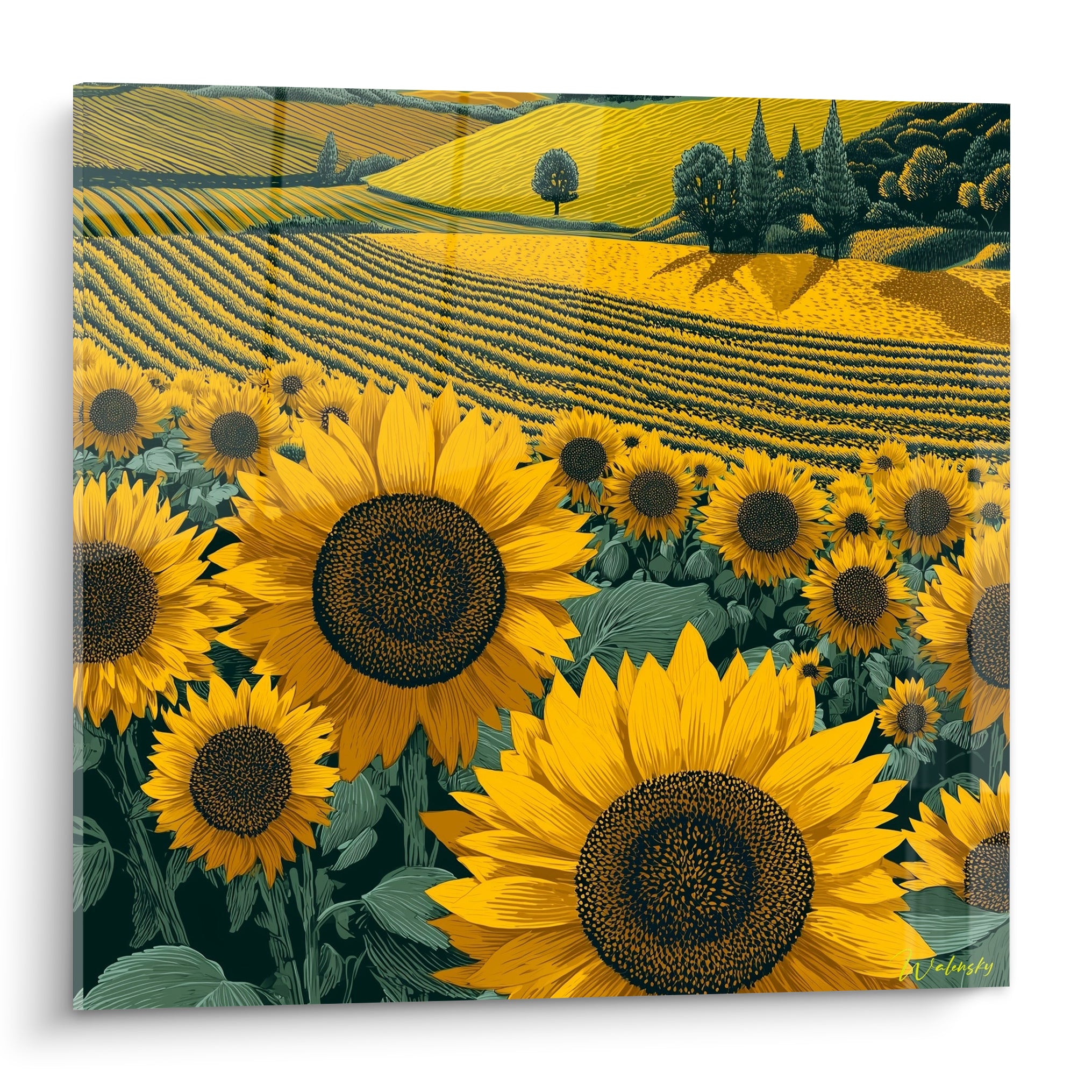 Tournesols jaune ocre et vert sauge en gros plan devant des collines cultivées dorées
