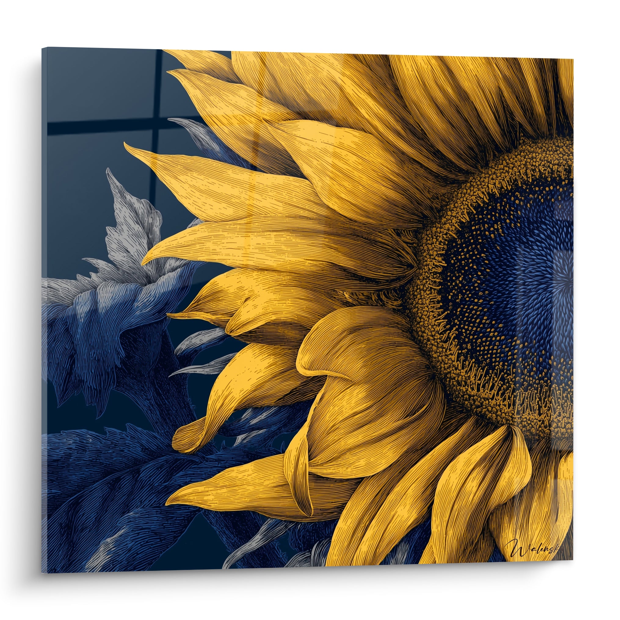 Tournesol doré aux pétales détaillés sur fond bleu marine, style gravure botanique raffinée