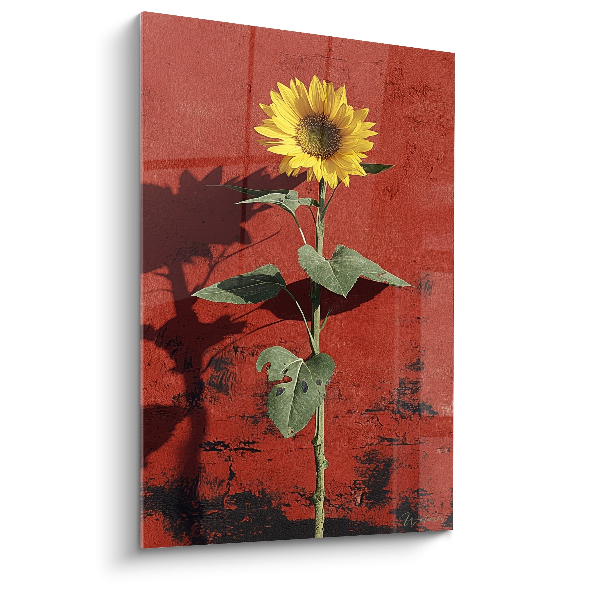 Tournesol jaune doré aux feuilles vert olive se dresse sur un mur rouge terracotta craquelé