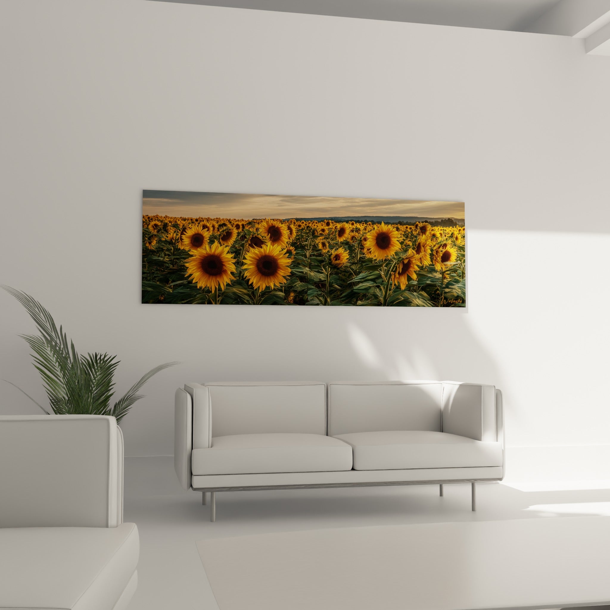 Champ de tournesols jaune vif et ciel orangé au-dessus d'un canapé dans un salon lumineux