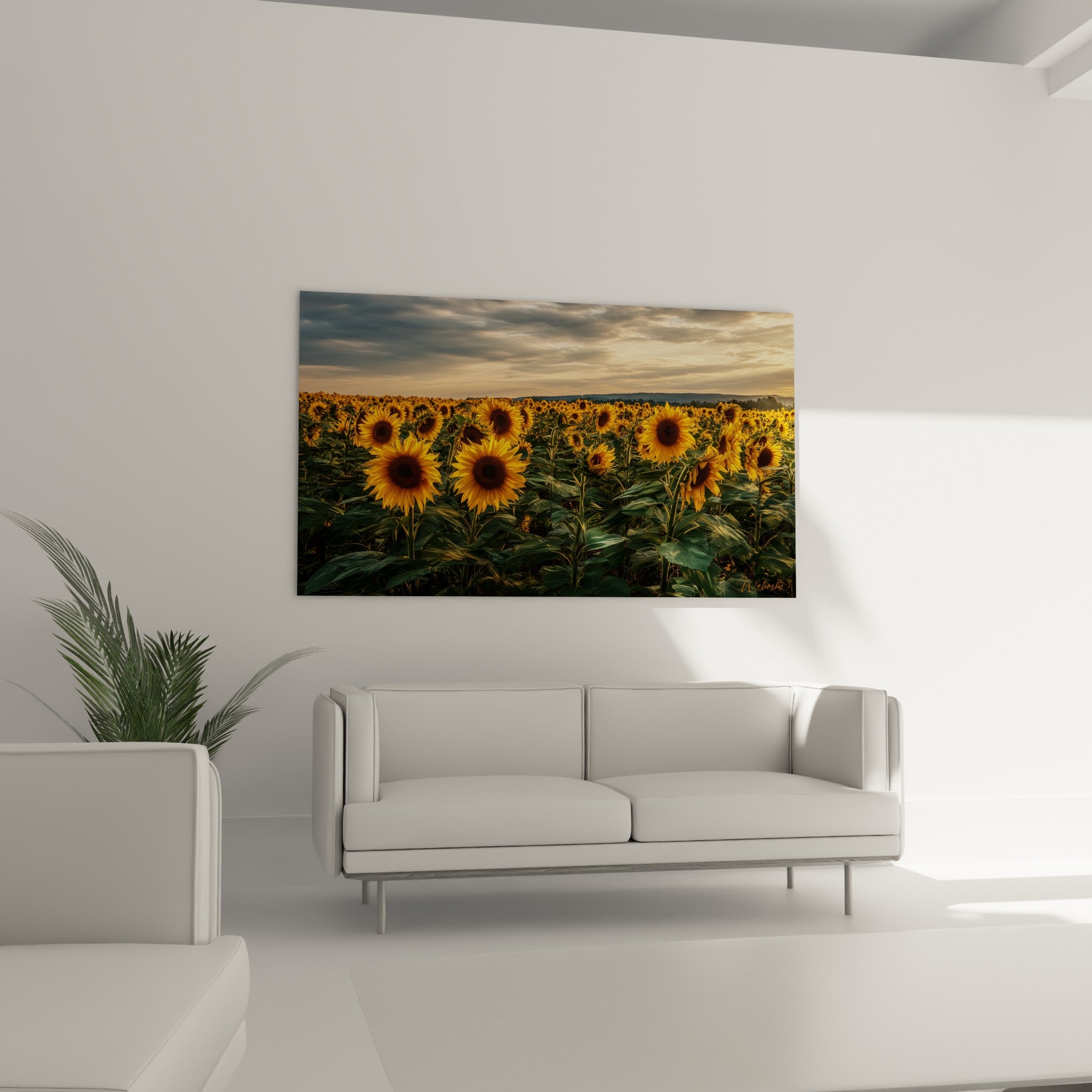 Fleurs de tournesol jaune et brun foncé accrochées au-dessus d'un canapé dans un salon lumineux