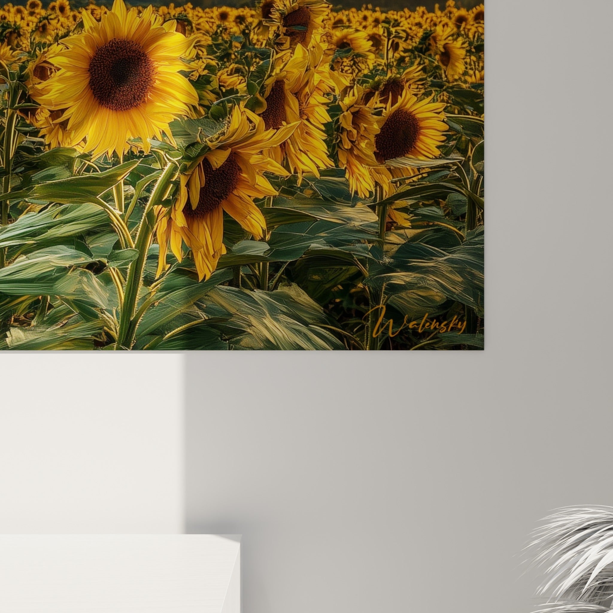 Pétales jaune soleil et cœurs bruns des tournesols, texture d'impression fine et lumière rasante