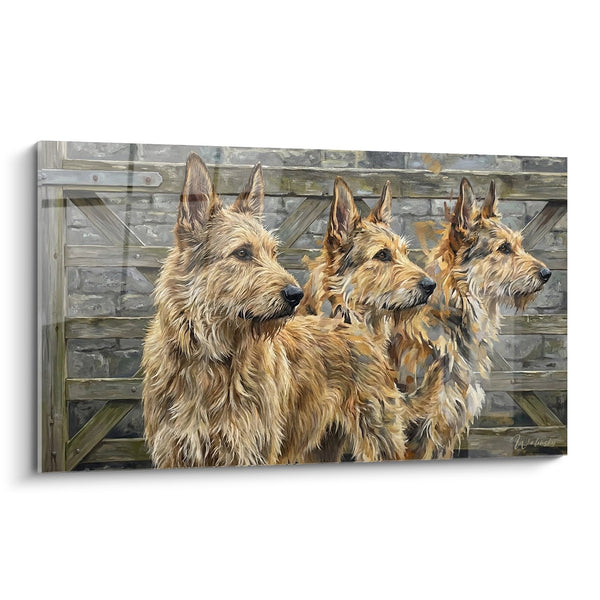 Cuadro Tres Pastores Picardos en Línea - Retrato Canino Rústico - Edición Pastor Picard