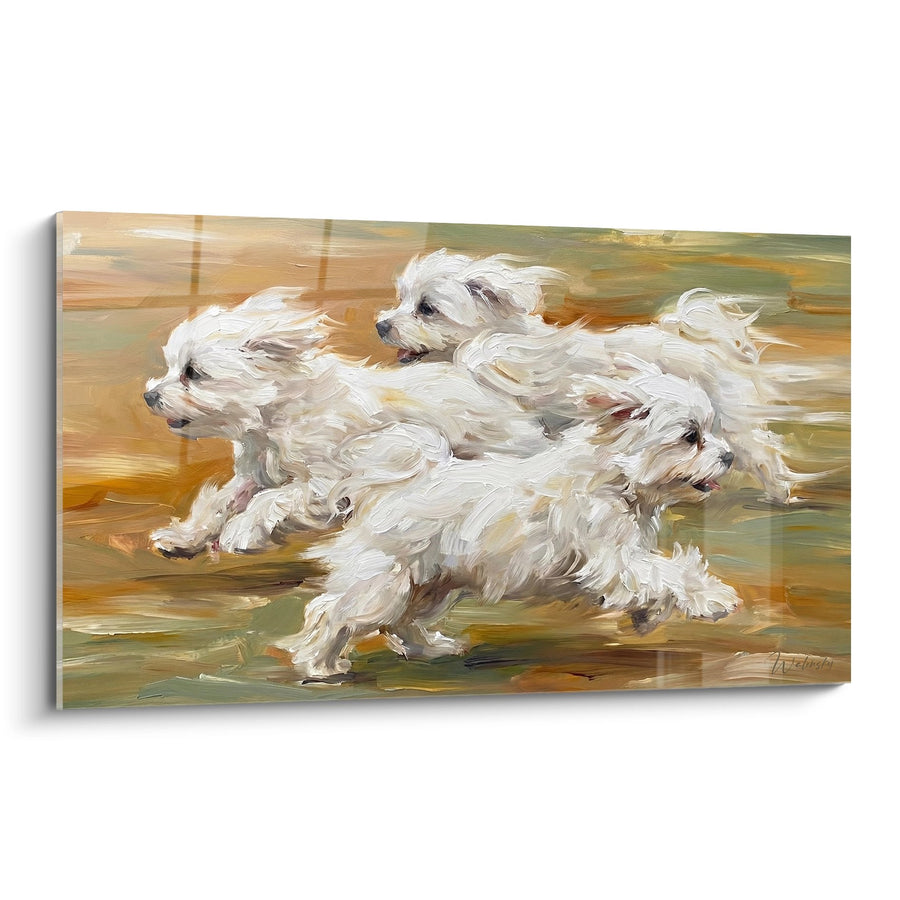 Tableau Trois Bichons Maltais en Course Dynamique - Énergie Canine - Edition Bichon Maltais