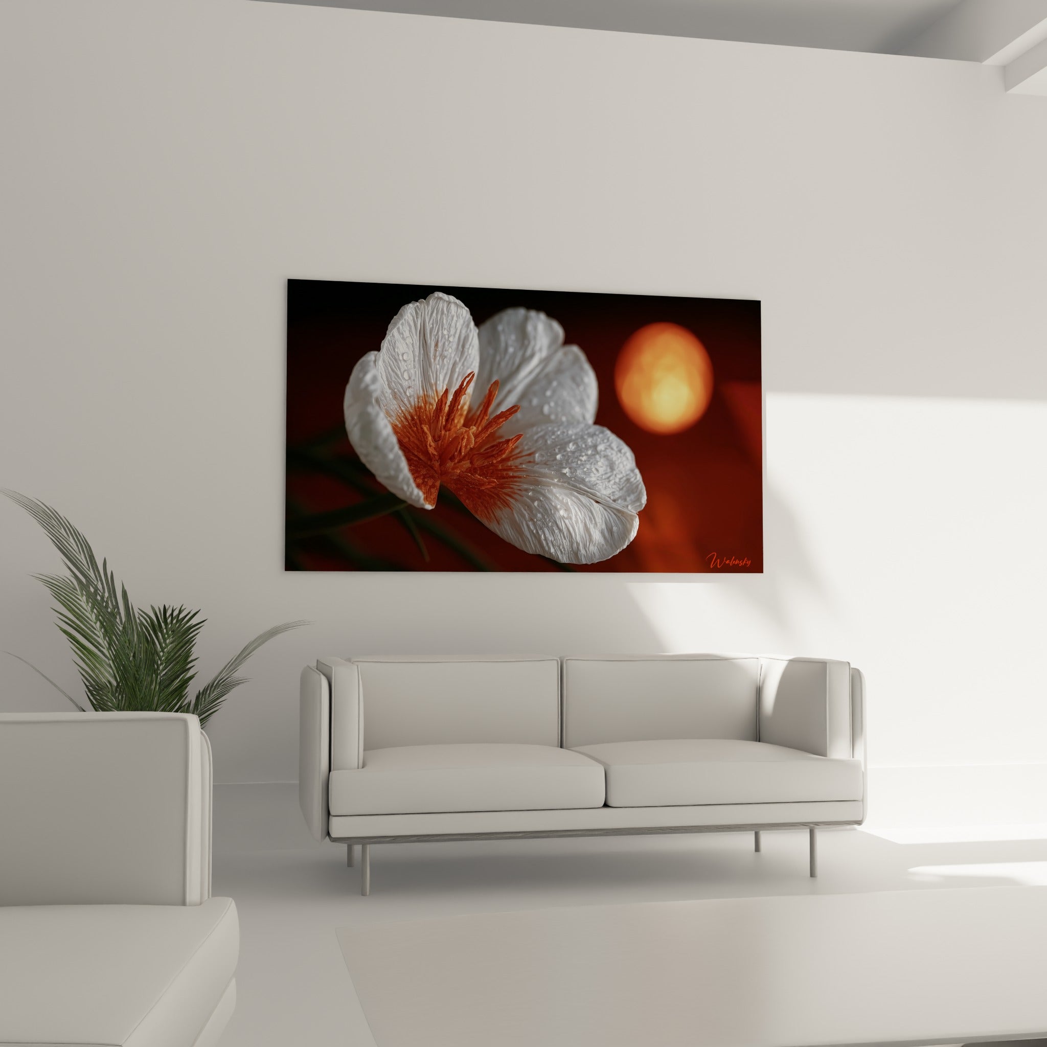 Gouttelettes scintillantes sur les pétales blancs de la Tulipe ambrée, au-dessus d'un canapé dans un salon lumineux.