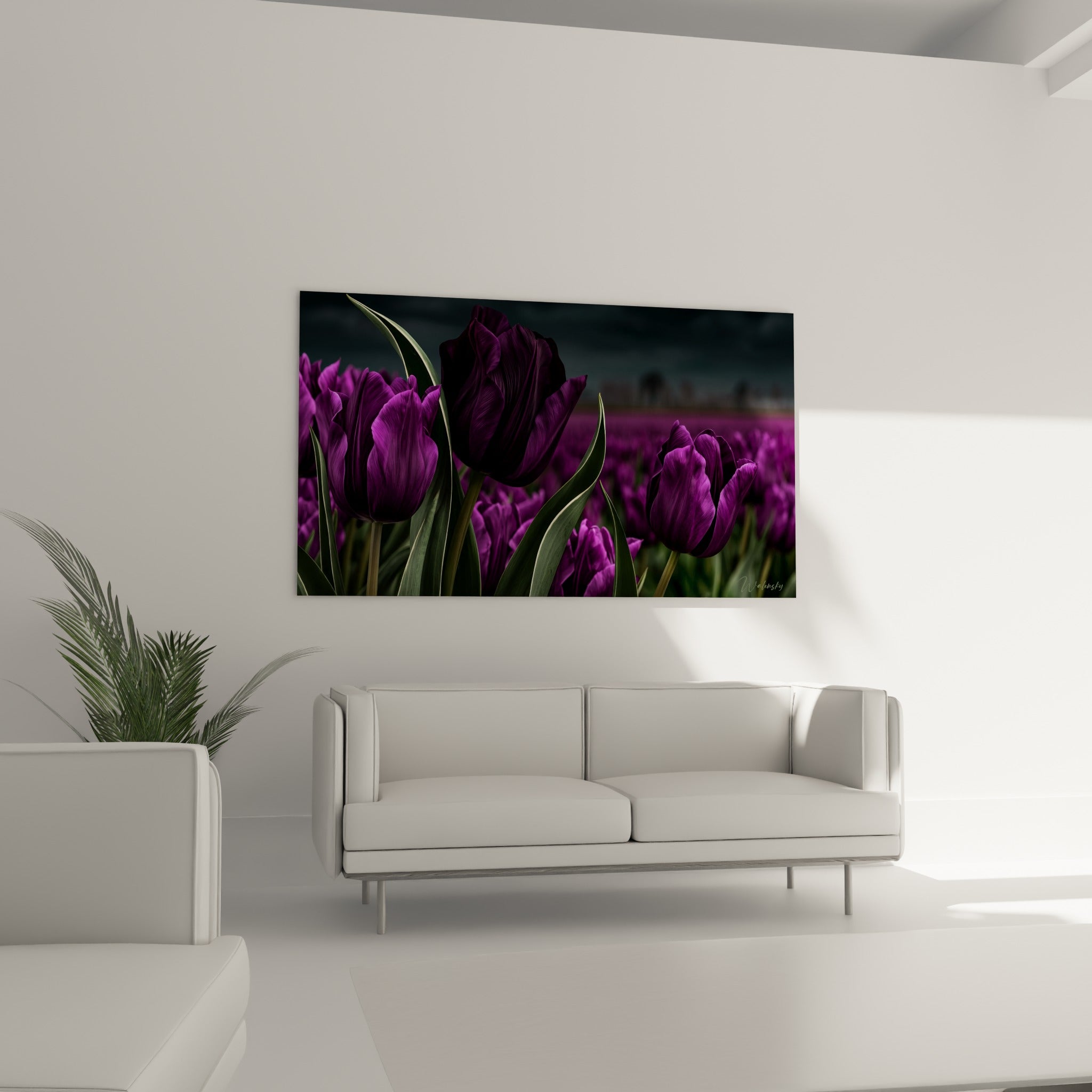 Tulipes violet profond et anthracite au cœur d'un champ dense, au-dessus d'un canapé dans un salon lumineux