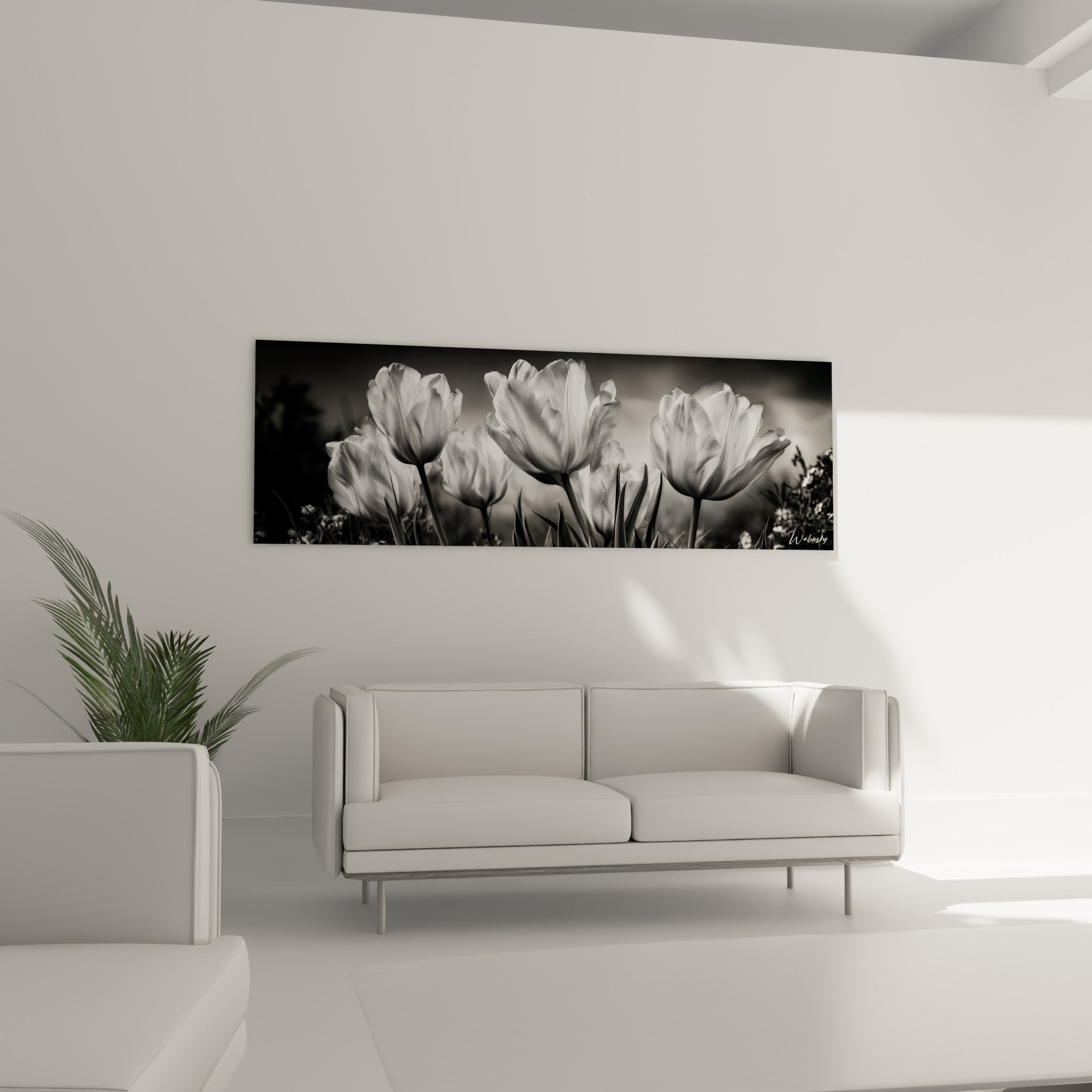 Fleurs de tulipe blanches sculptées par la lumière, sur fond anthracite, au-dessus d'un canapé dans un salon lumineux.