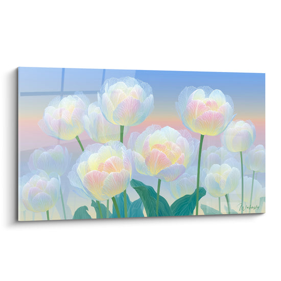 Tulipes blanc nacré et rose poudré aux pétales translucides sur fond bleu ciel dégradé